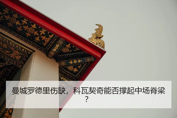 man-cheng-luo-de-li-shang-que-ke-wa-qi-qi-neng-fou-cheng-qi-zhong-chang-ji-liang-3-869.jpg
